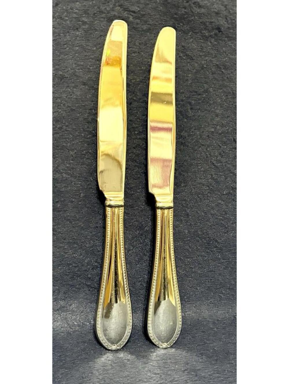Waterford NORTHBRIDGE Glossy Stainless  Flatware Dinner Knives 9.5” Set 2